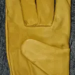 Hand Gloves